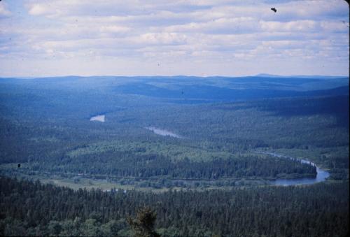Allagash_River_from_Round_Pond_mountain_1974