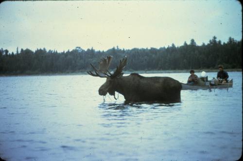 Eagle_Lake_1977_taken_by_Sam_Rudman
