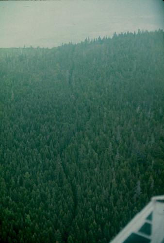 Mud_Pond_Carry_Trail