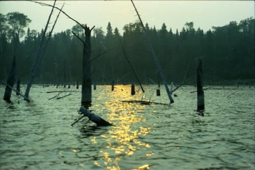 Round_Pond_1973_Churchill_Lake