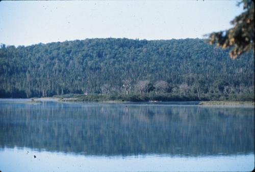 Round_Pond_back_channel